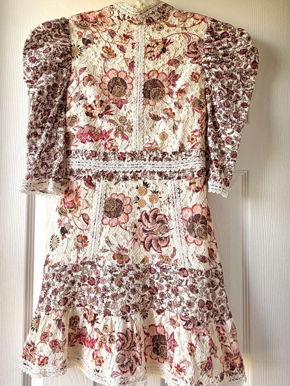 Topshop Floral Lace-Trim Mini Dress in Ivory and Rose